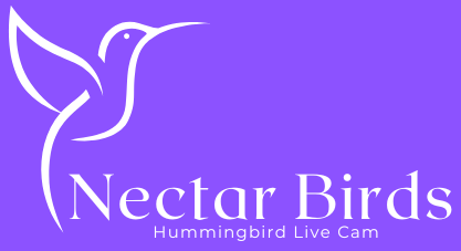 Nectar Birds