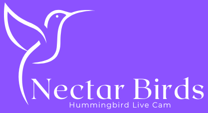 Nectar Birds